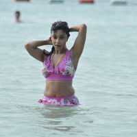 Payal Ghosh hot n spicy bikini gallery | Picture 71710